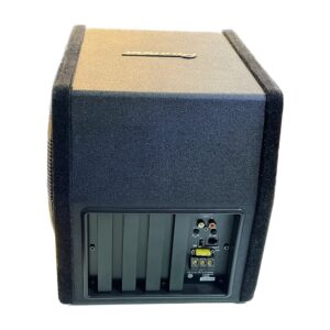 ساب باکس اکتیو پایونیر TS BW 250MA