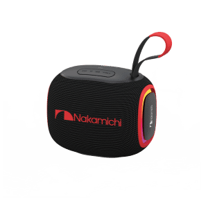 پارتی باکس ناکامیچی NAKAMICHI NORSE 200