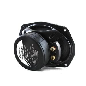 بلندگو پایونیر Pioneer TS-6975V3